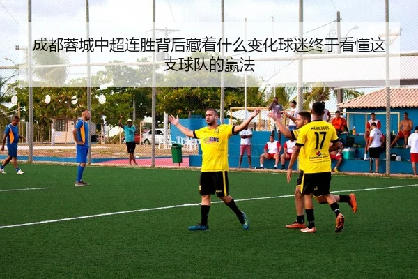 成都蓉城中超连胜背后藏着什么变化球迷终于看懂这支球队的赢法